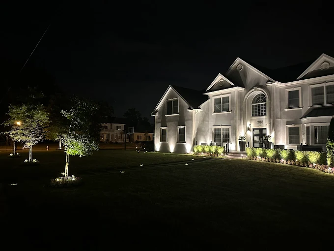 Professional electrical work